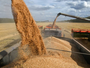 США умоляют Путина продлить зерновую сделку