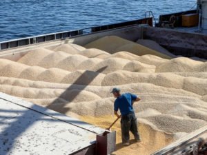 Зерновая сделка