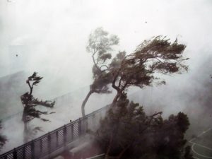Ураганный ветер в Китае несет людей по улице