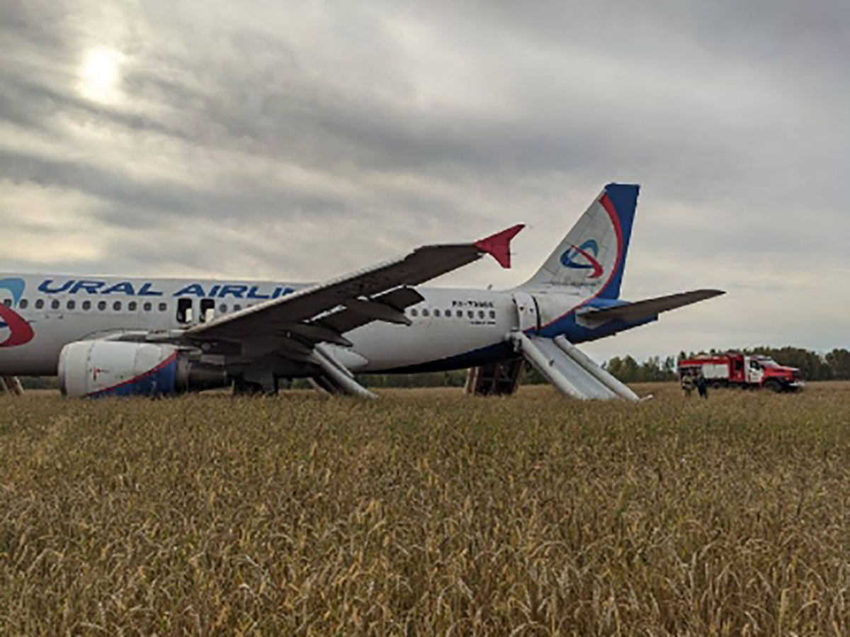 Самолет с пассажирами рейса Сочи–Омск аварийно сел в поле в Новосибирской области (ФОТО, ВИДЕО)