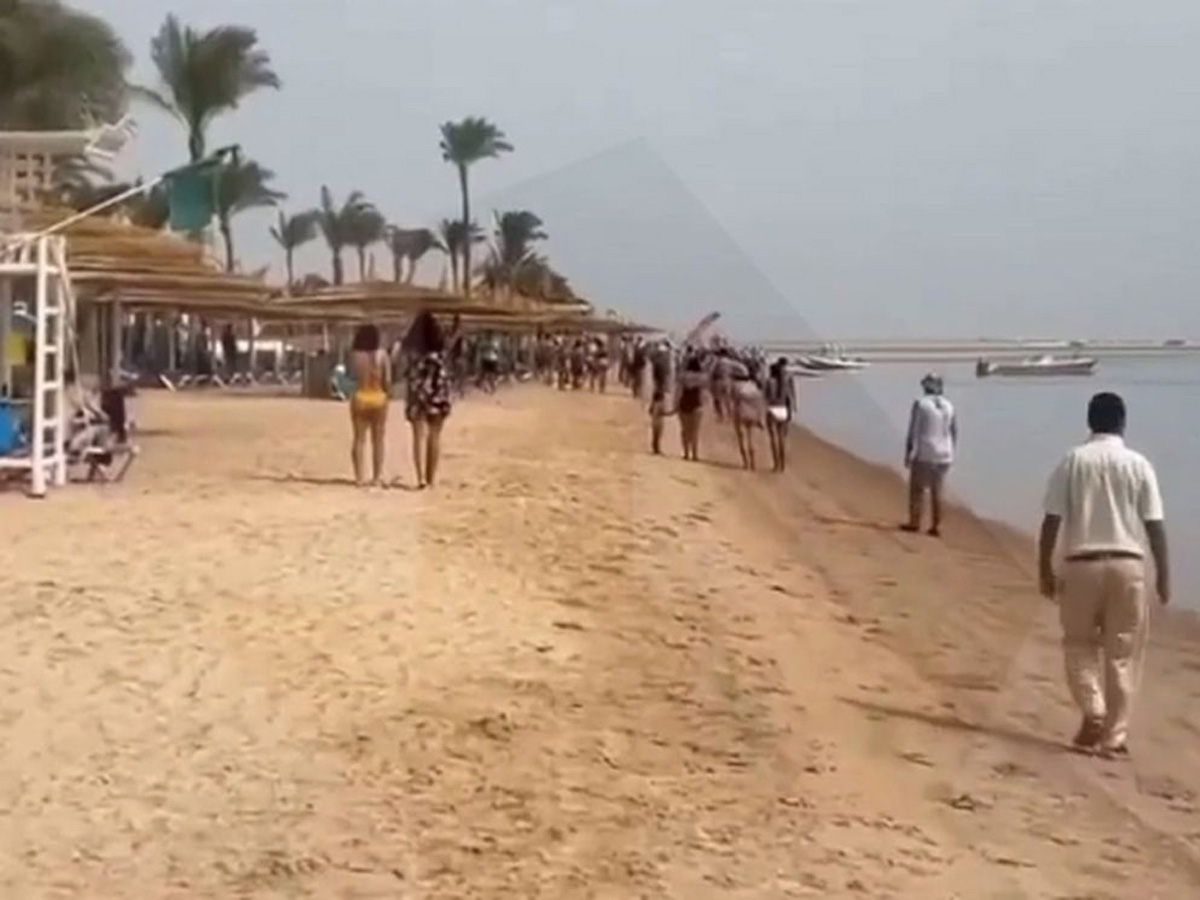Большая акула напала на туристку в египетском Дахабе