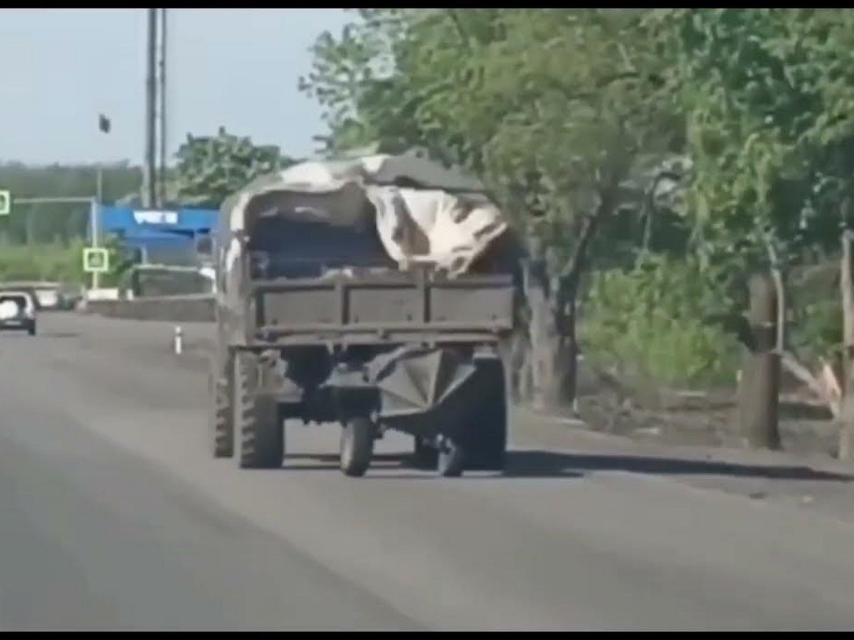 «Веселый миномет»: в Сети завирусилось смешное видео