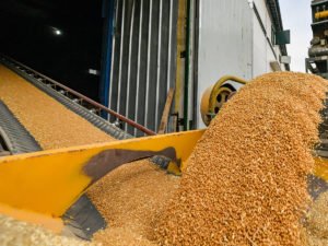 Зерновая сделка