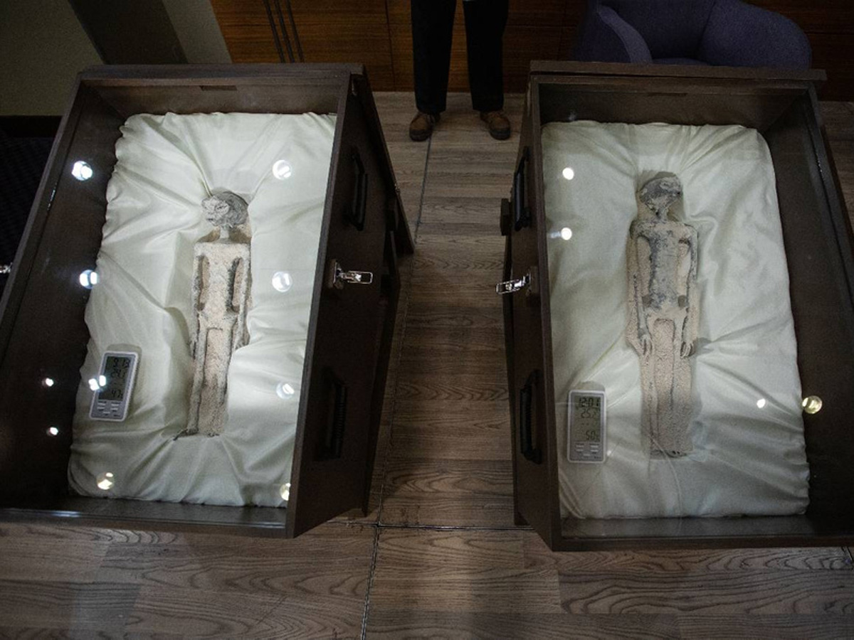 Ученые раскрыли, из чего на самом деле состоят показанные в Мексике «мумии пришельцев» (ФОТО, ВИДЕО)1