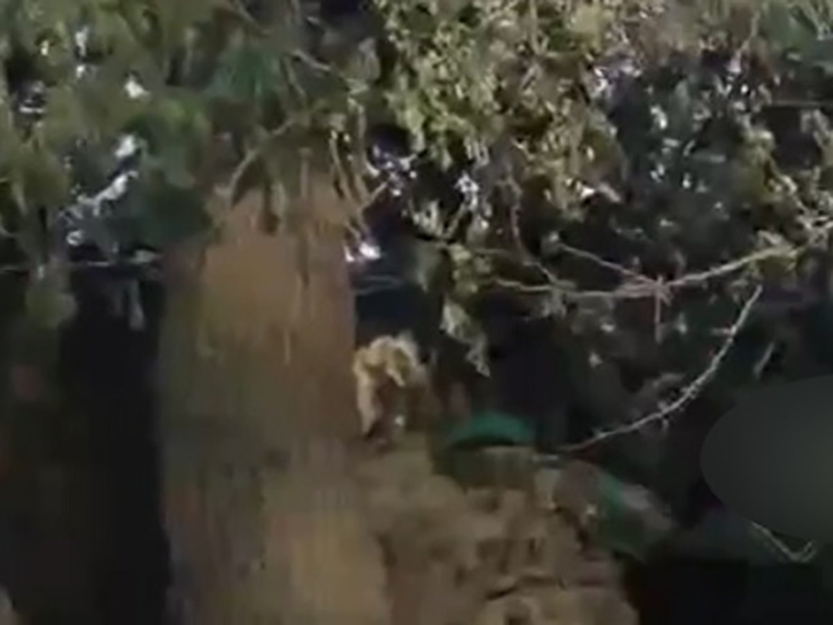 Боец подорвал себя