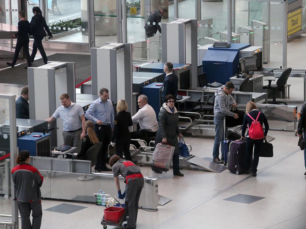 В аэропорту Домодедово в чемодане пассажира взорвалась граната