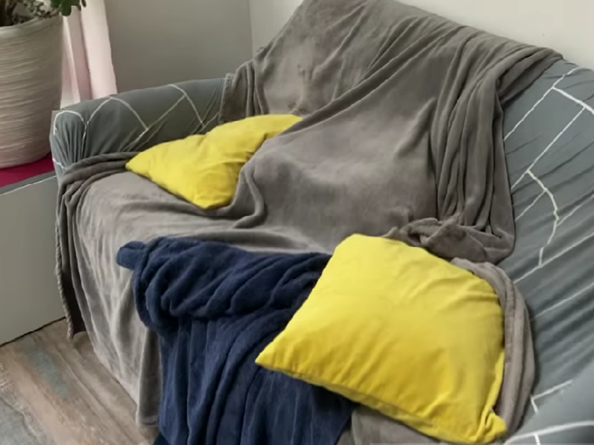 Хозяин нашел свою собаку в одеяле