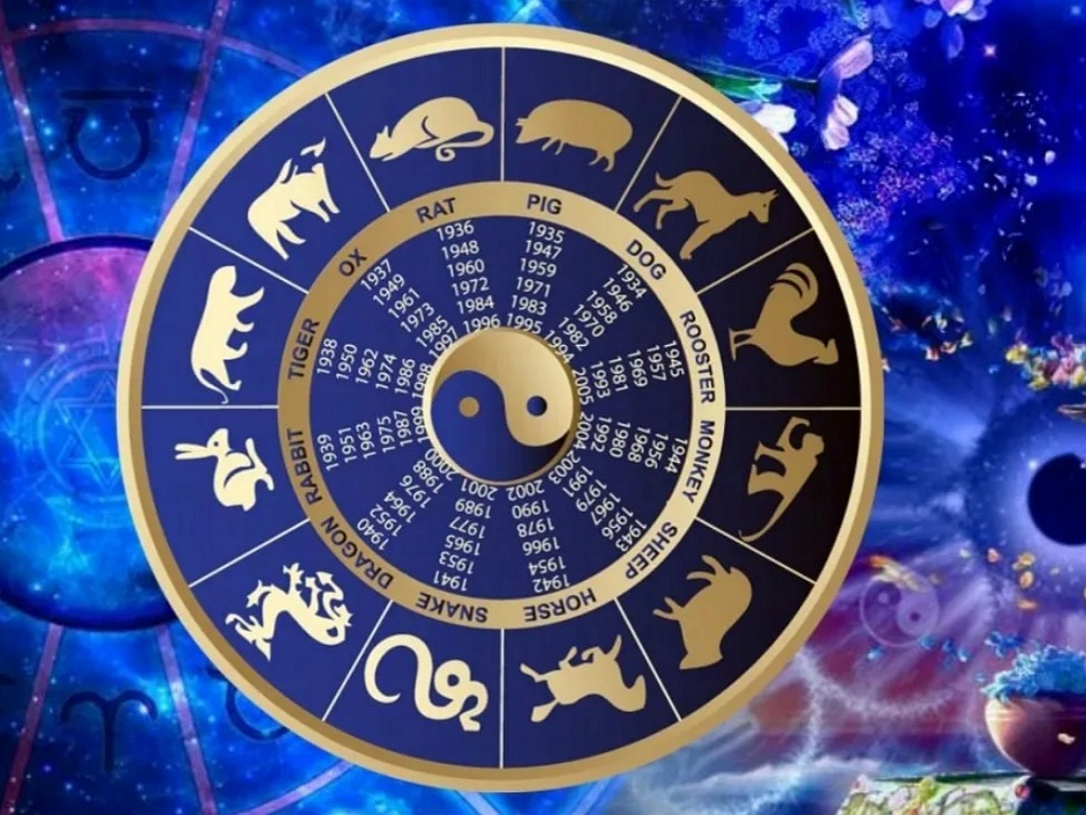 Астрологи пообещали 3-м знакам Зодиака море удачи и водопад денег в октябре по китайскому гороскопу