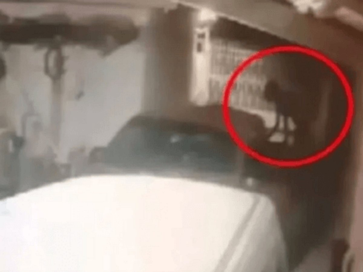 Видеокамера, установленная в гараже, зафиксировала трансформацию оборотня