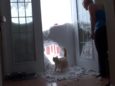 Кот проломил снежную стену