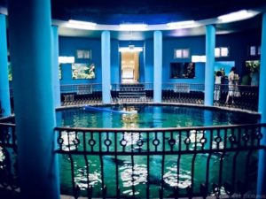 аквариум в Севастополе