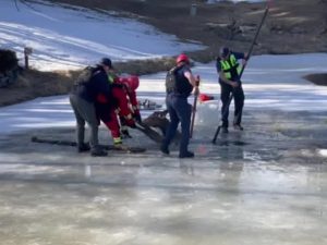 Спасатели вытащили из замерзшего озера лося в 400 кг