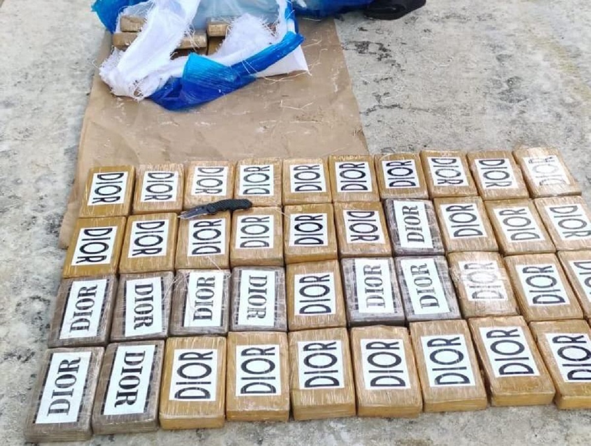 «Больше бюджета Тамбова»: В Петербурге изъяли кокаин на 11 млрд рублей