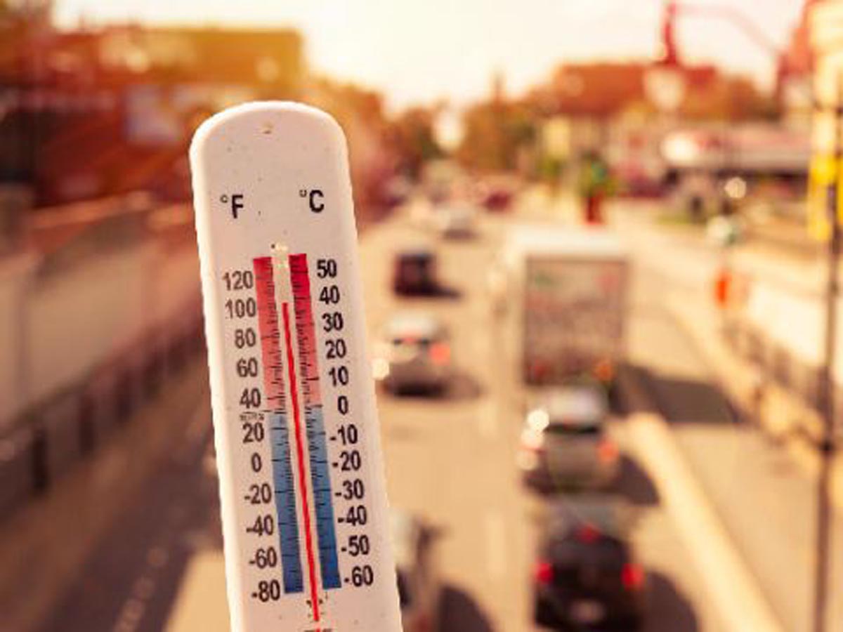 ученые допустили, что 2024 год станет самым жарким в истории