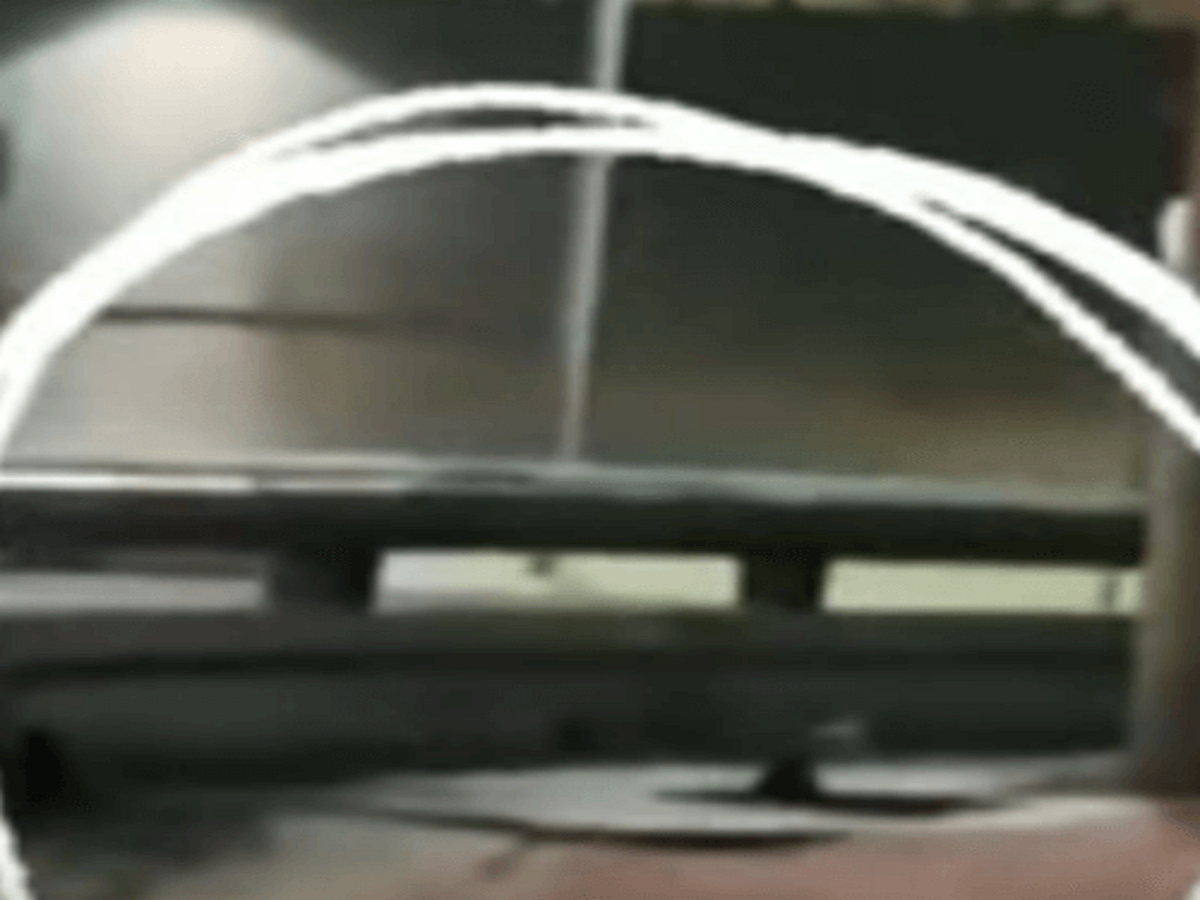 Неопознанное существо вылезло из-под земли в Мексике