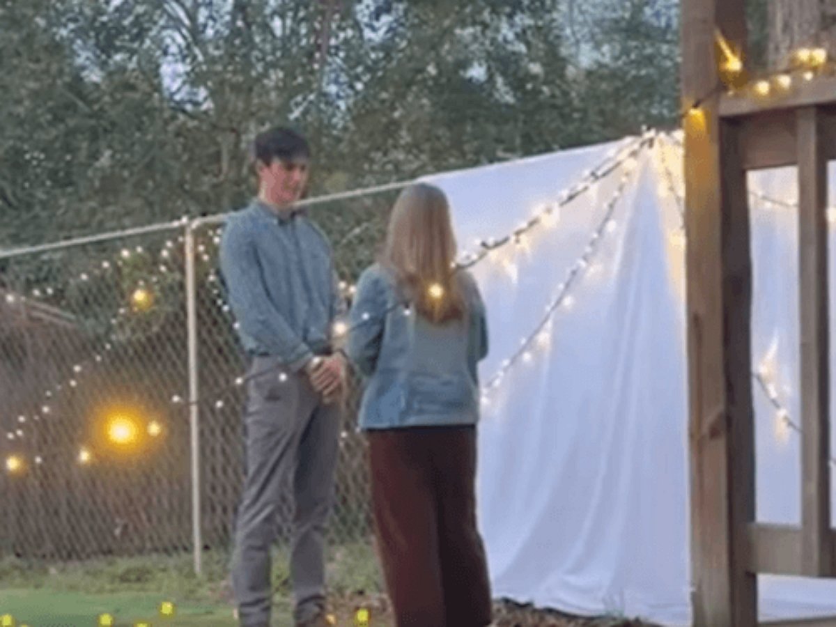 Если попросить подругу заснять предложение руки и сердца — можно получить видео забавного енота