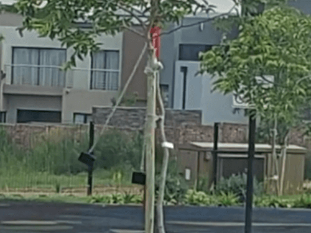 Призрачные дети качались на качелях на детской площадке