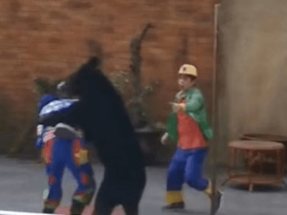 Медведь напал на артиста цирка во время представления
