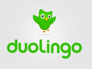 Роскомнадзор проверит сервис для изучения языков Duolingo на ЛГБТ*-пропаганду