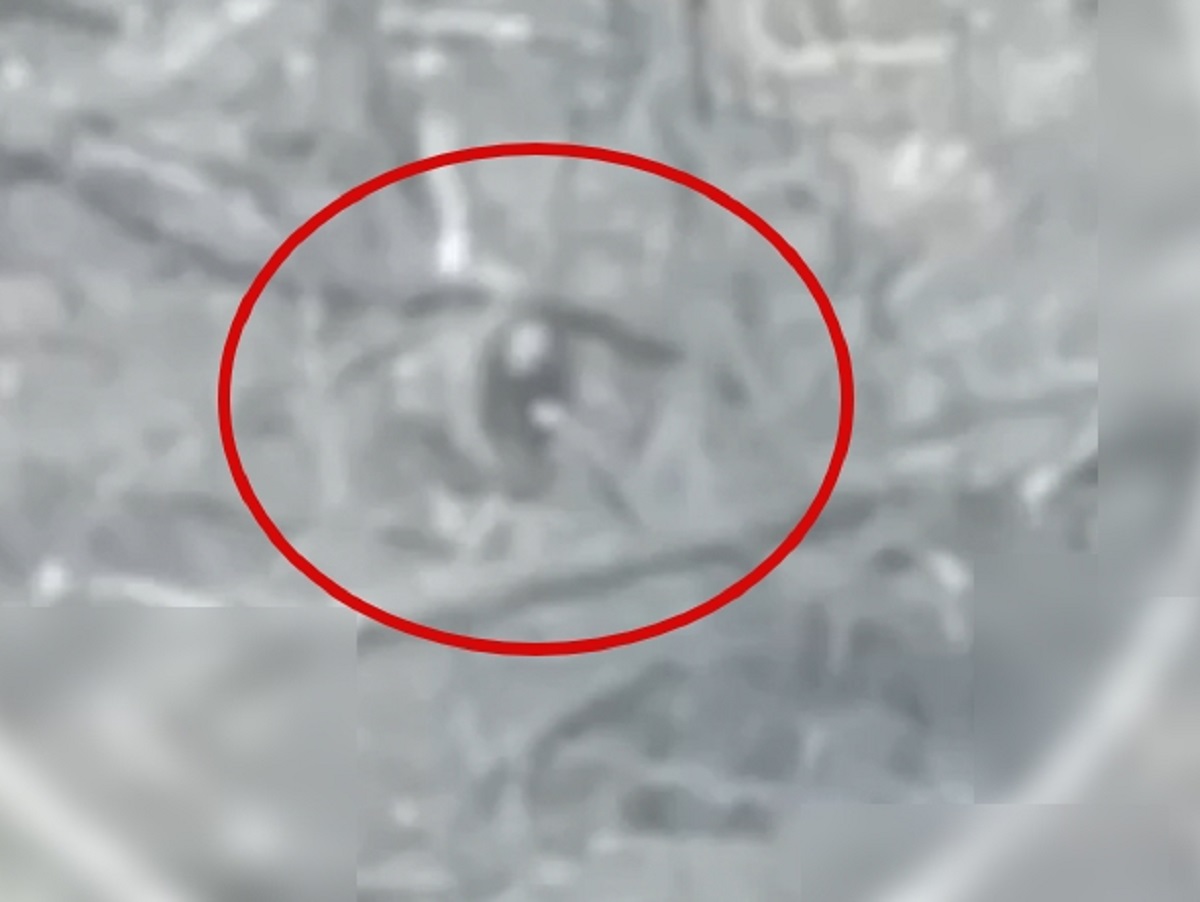 Боец ВС РФ палкой сбил дрон ВСУ и спасся бегством: опубликовано видео