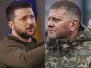 Царев: украинские олигархи бросили Зеленского ради Залужного