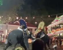 Два слона подрались во время фестиваля в Индии