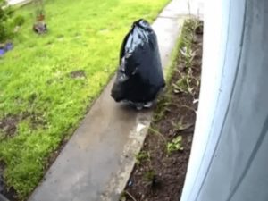 Воришка, нарядившись мусорным мешком, украл с крыльца посылку
