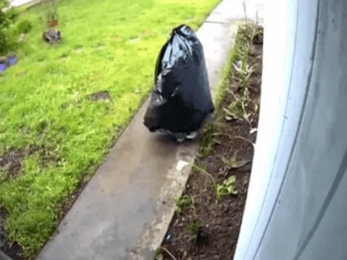 Воришка, нарядившись мусорным мешком, украл с крыльца посылку