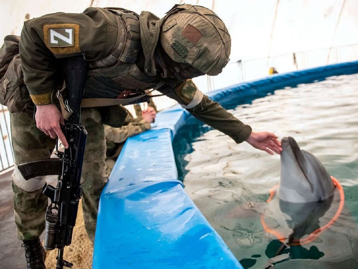 ИноСМИ: боевые дельфины ВС РФ уничтожают водолазов-шпионов ВСУ (ФОТО)1
