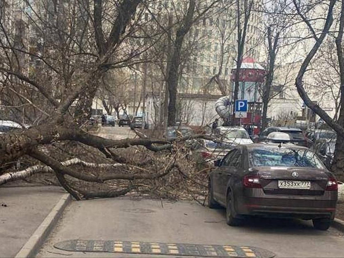 Два человека стали жертвами сильного верта в Москва, еще 15 пострадало