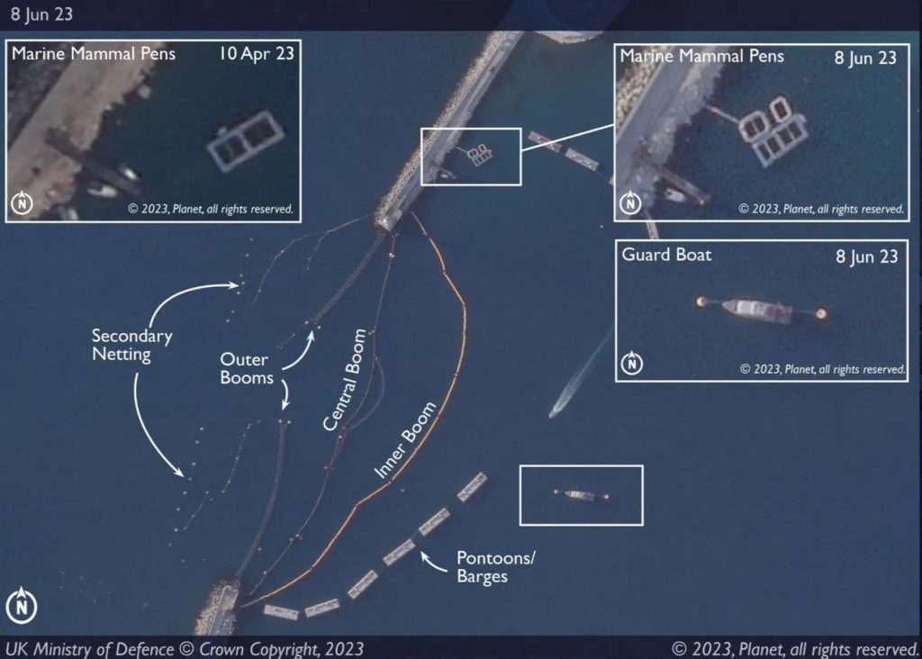 ИноСМИ: боевые дельфины ВС РФ уничтожают водолазов-шпионов ВСУ (ФОТО)3