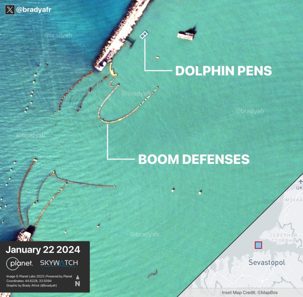 ИноСМИ: боевые дельфины ВС РФ уничтожают водолазов-шпионов ВСУ (ФОТО)5
