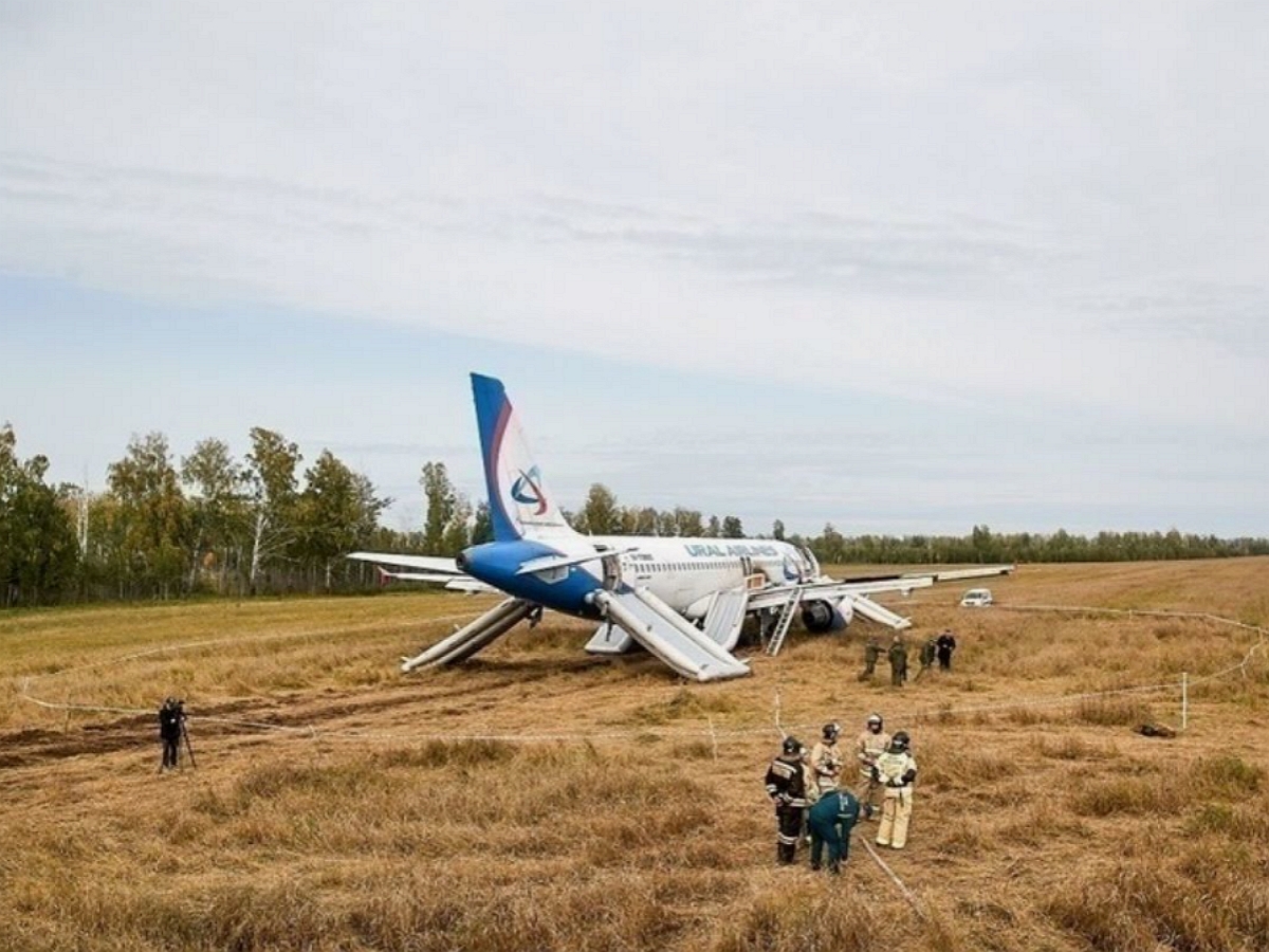 Посадивший самолет в пшеничное поле под Новосибирском пилот уволился из «Уральских авиалиний»1