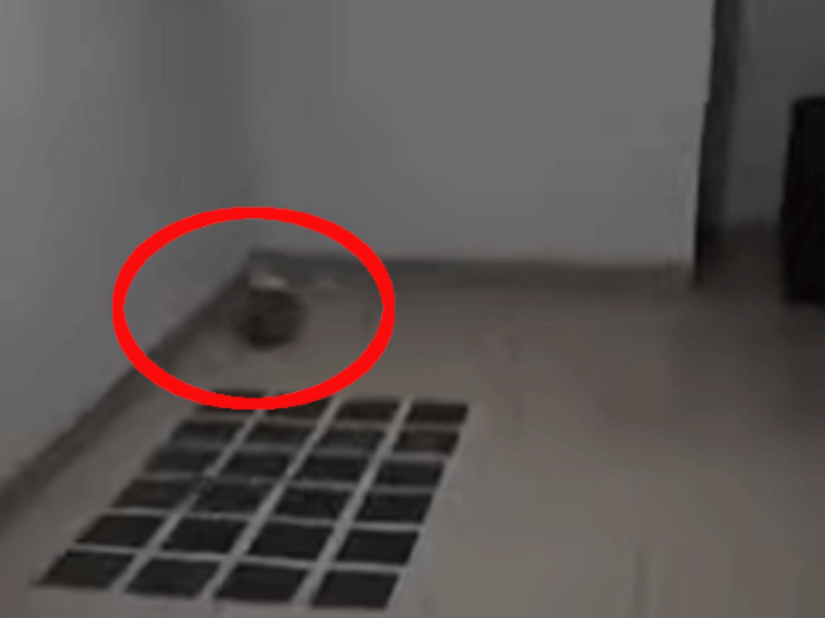 Привидение поиграло в мячик, попав на видео