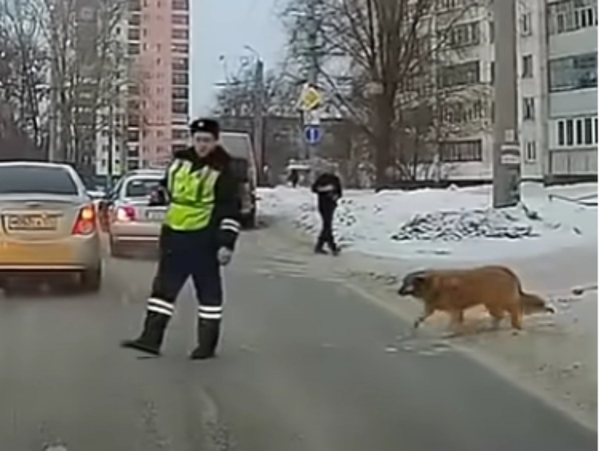 Этот ГАИшник точно попадет в рай