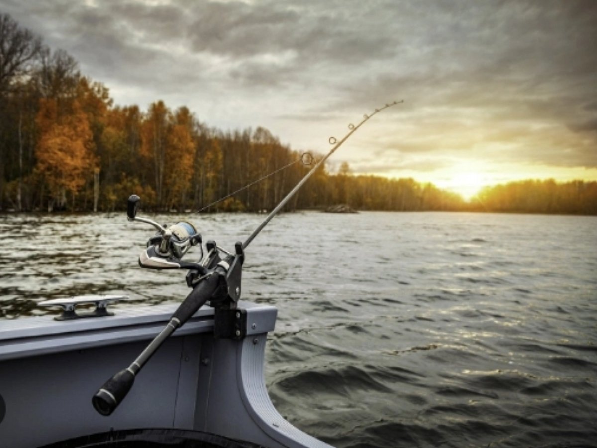 Забавное видео о рыбаке и рыбке