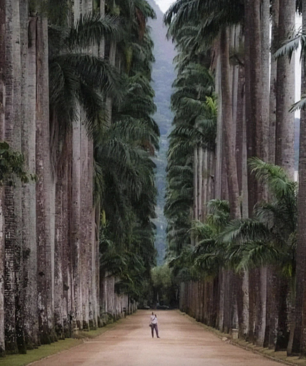 Фото наглядно демонстрирующие, насколько гигантскими могут быть разные обьекты