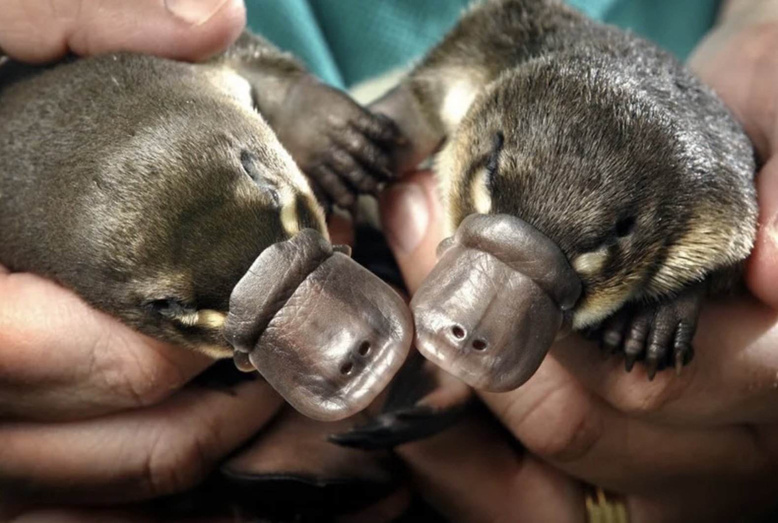 Фотодоказательства того, что нет ничего страшнее природы