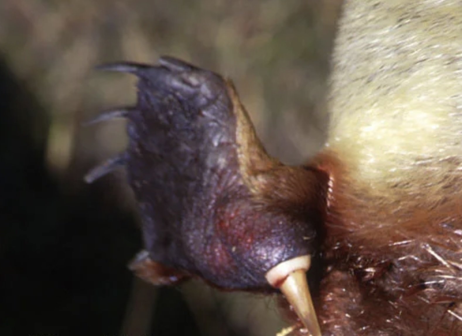 Фотодоказательства того, что нет ничего страшнее природы