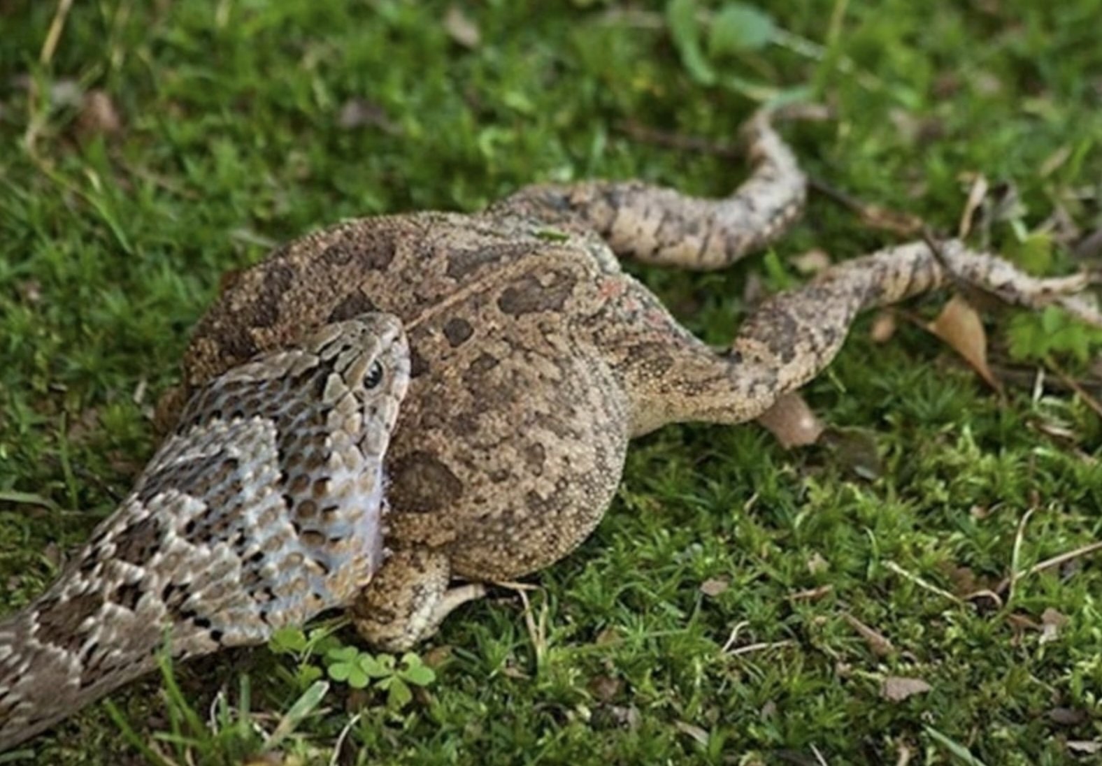 Фотодоказательства того, что нет ничего страшнее природы