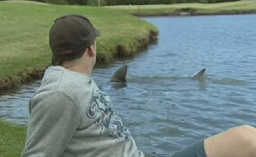 Фотодоказательства того, что нет ничего страшнее природы