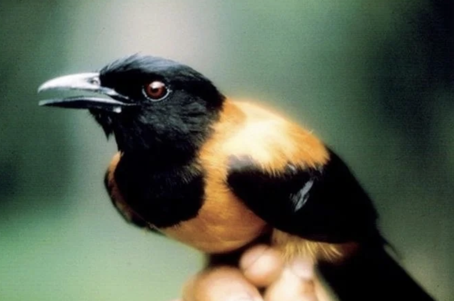 Фотодоказательства того, что нет ничего страшнее природы