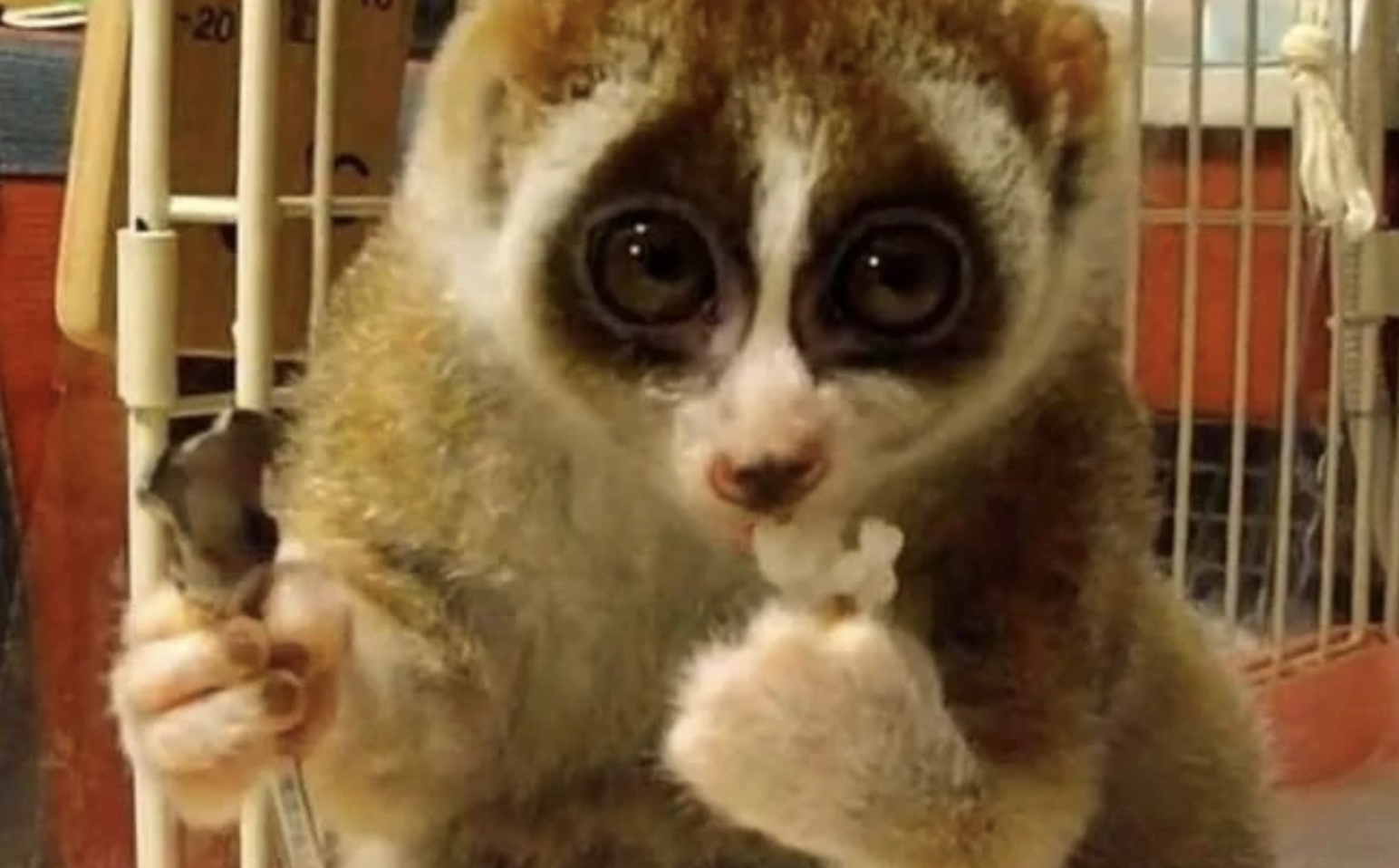 Фотодоказательства того, что нет ничего страшнее природы