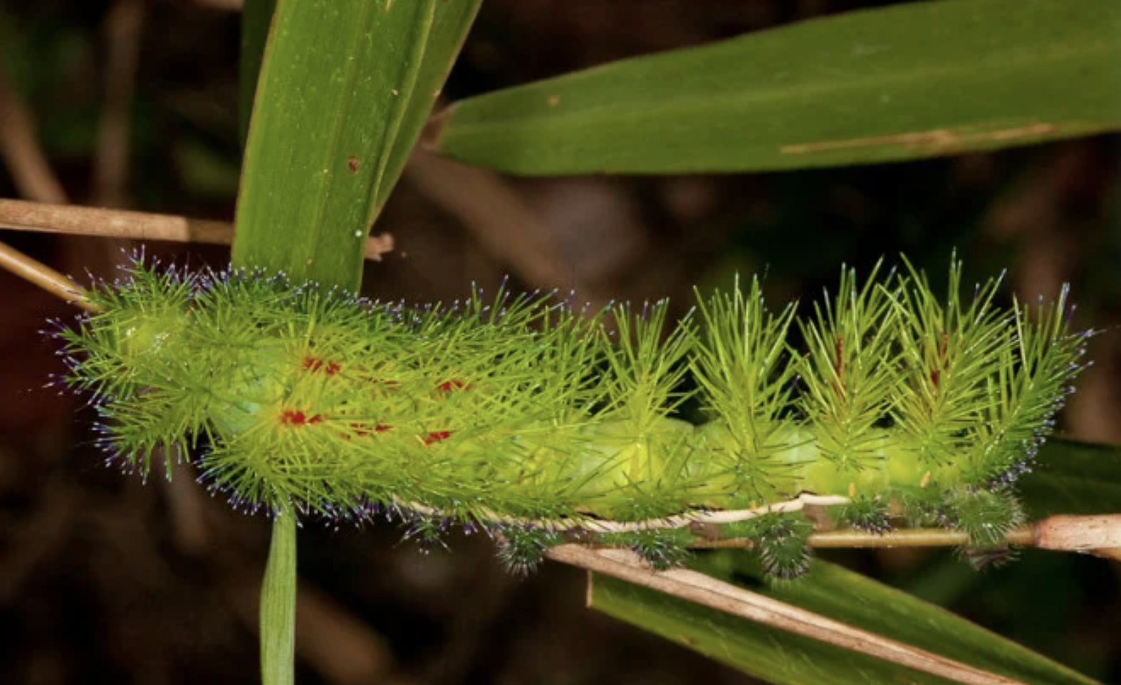 Фотодоказательства того, что нет ничего страшнее природы