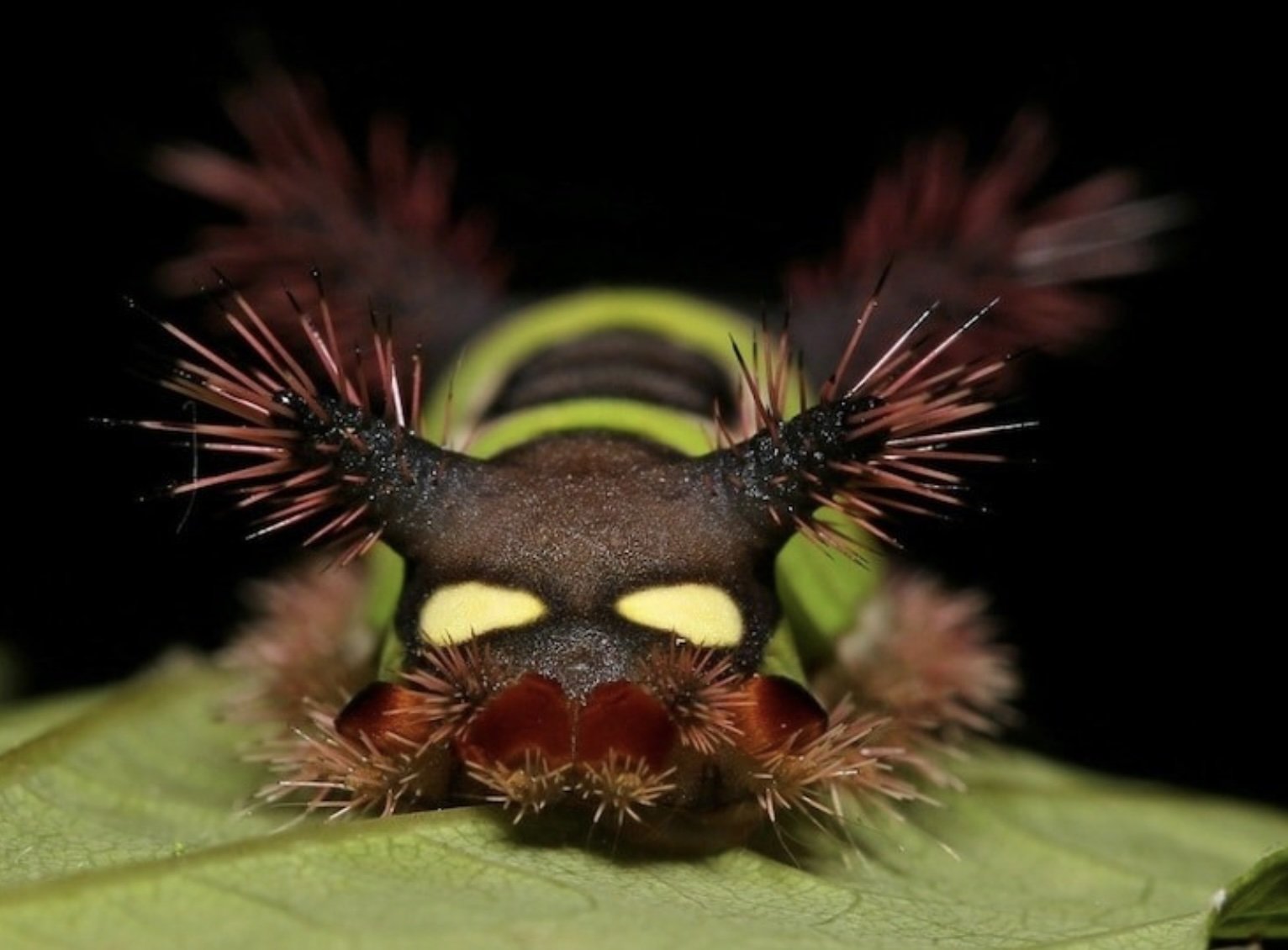 Фотодоказательства того, что нет ничего страшнее природы