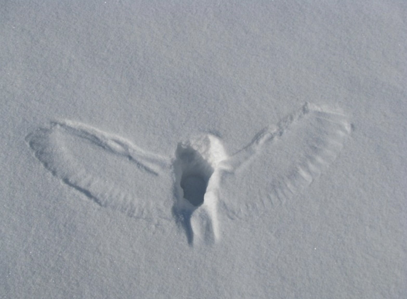 Фотодоказательства того, что нет ничего страшнее природы