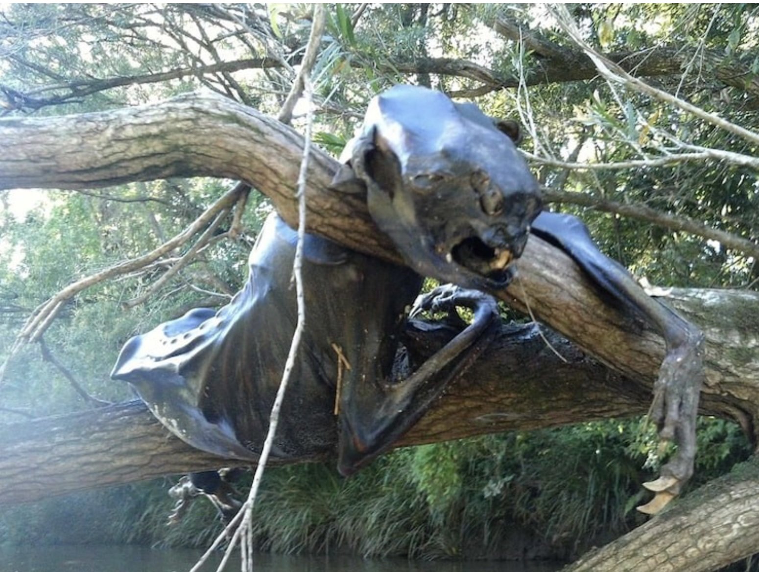 Фотодоказательства того, что нет ничего страшнее природы