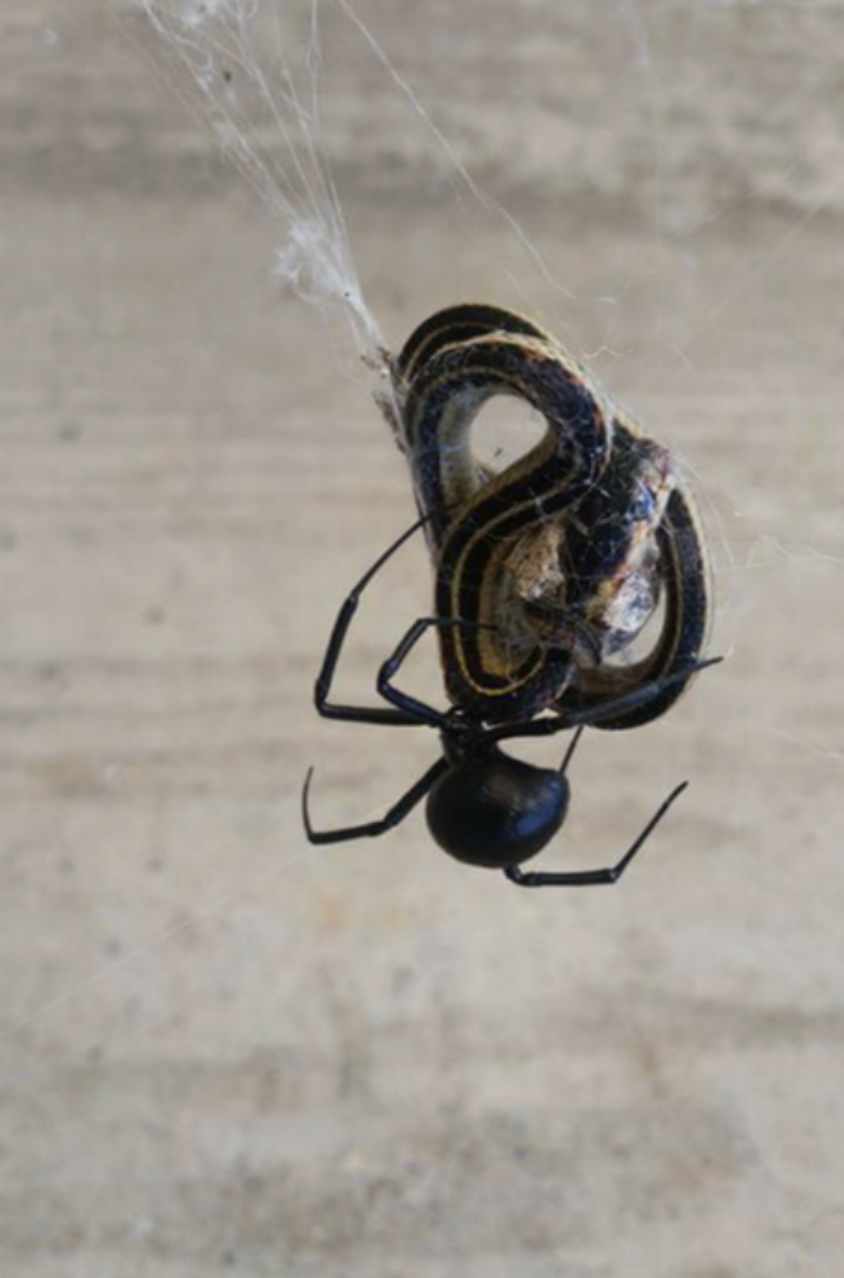 Фотодоказательства того, что нет ничего страшнее природы