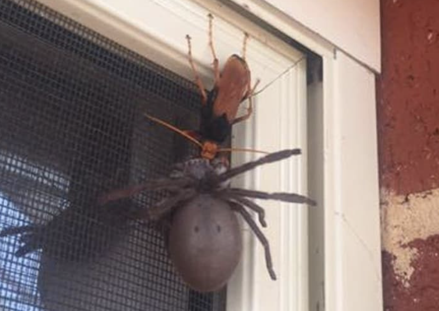 Фотодоказательства того, что нет ничего страшнее природы