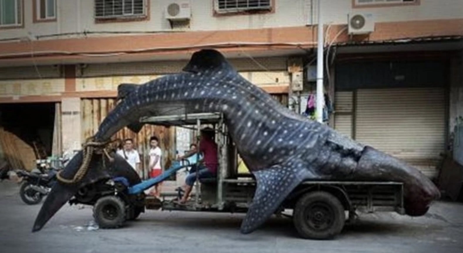 Фотодоказательства того, что нет ничего страшнее природы